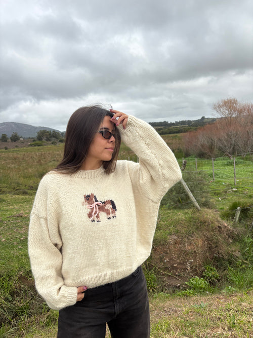 PREVENTA Sweater Poni