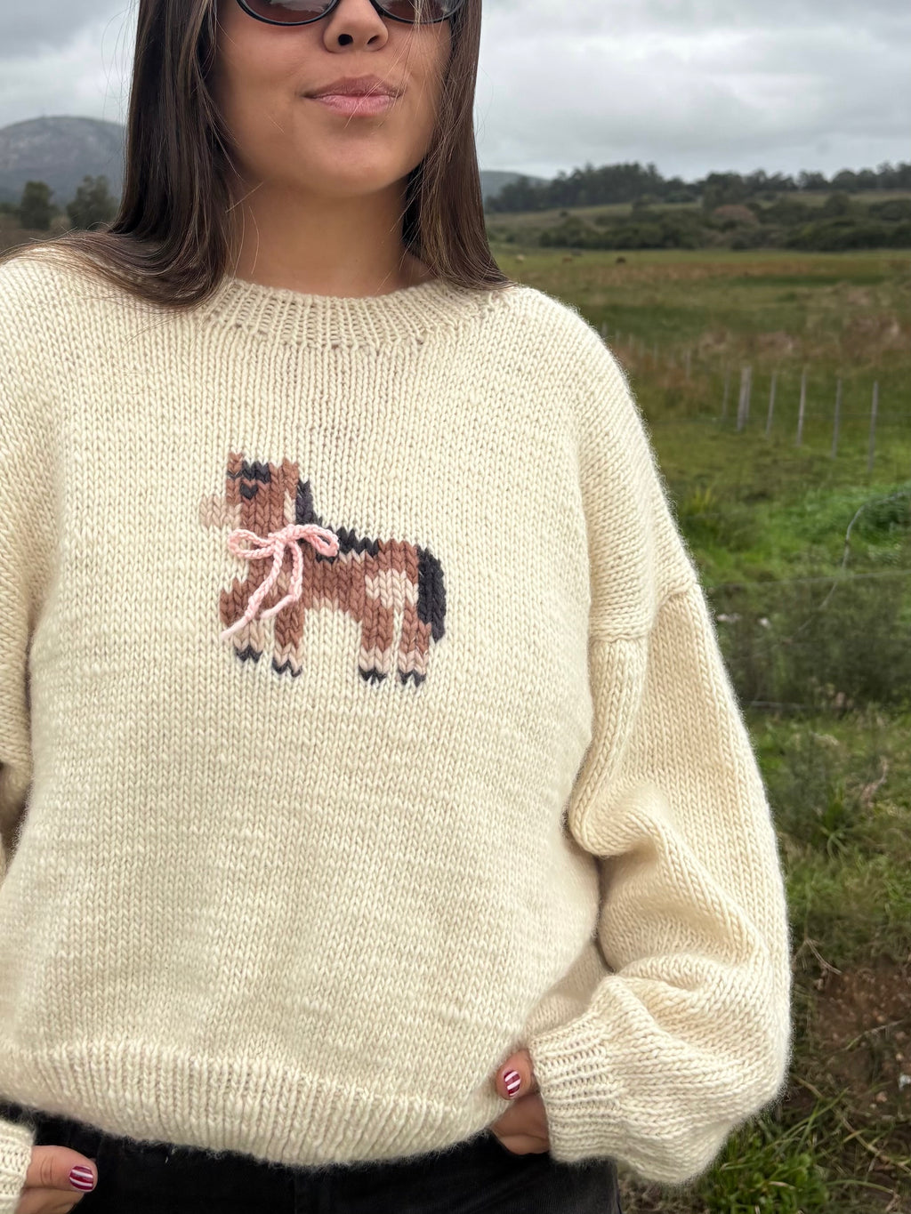 Sweater Poni finito