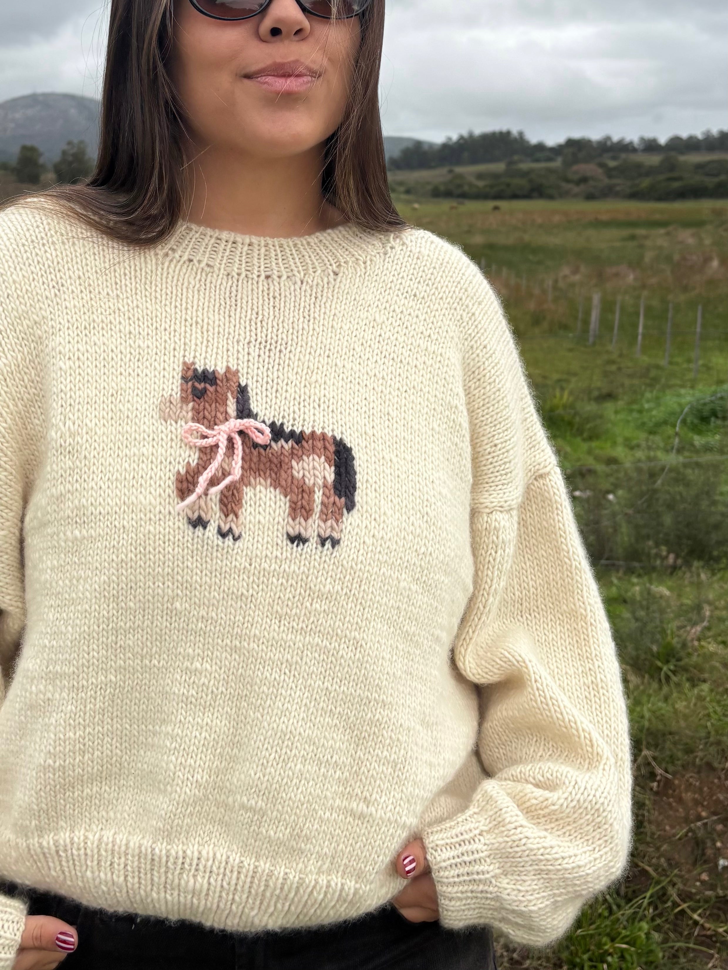 Sweater Poni finito