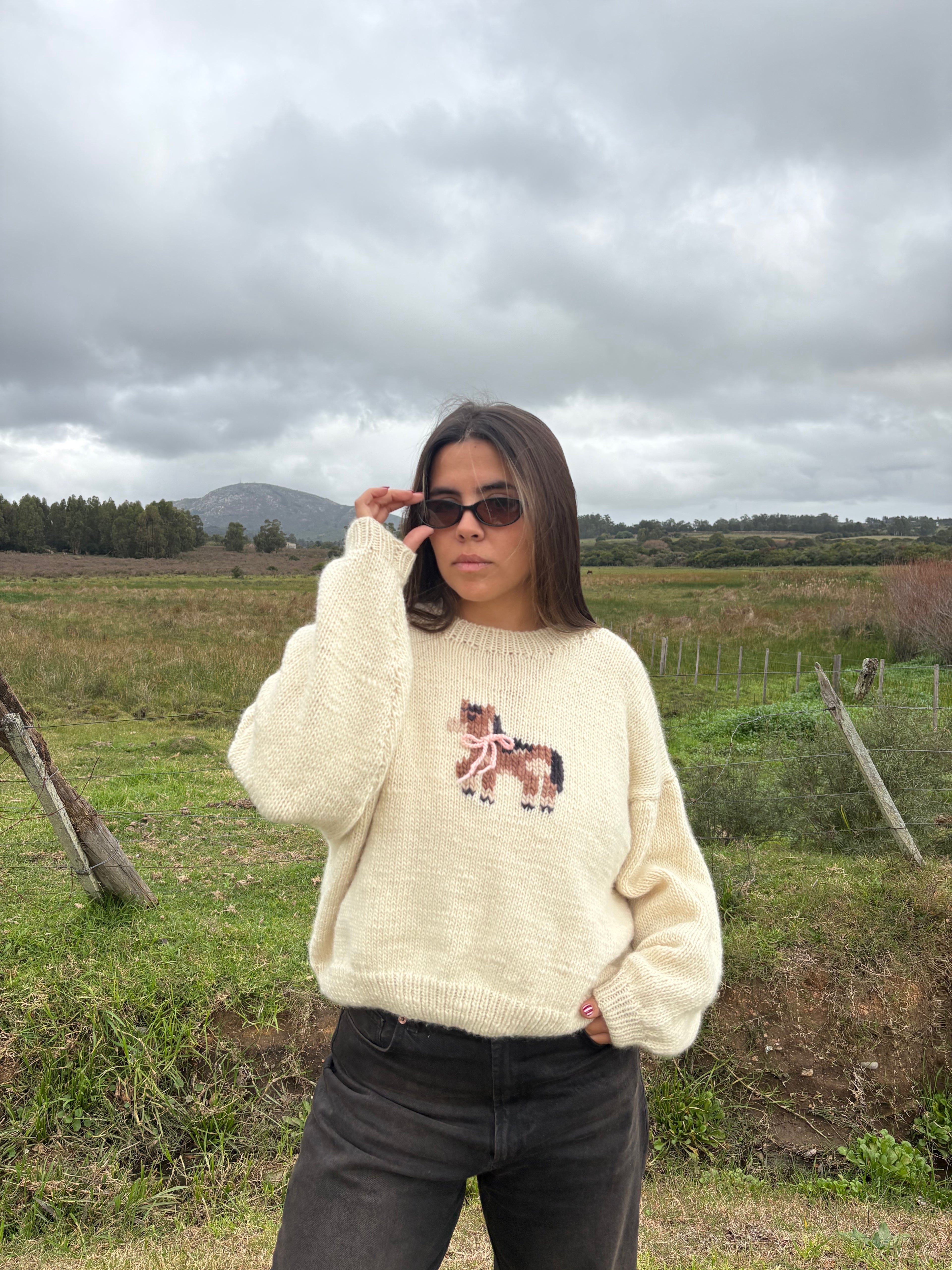 Sweater Poni finito