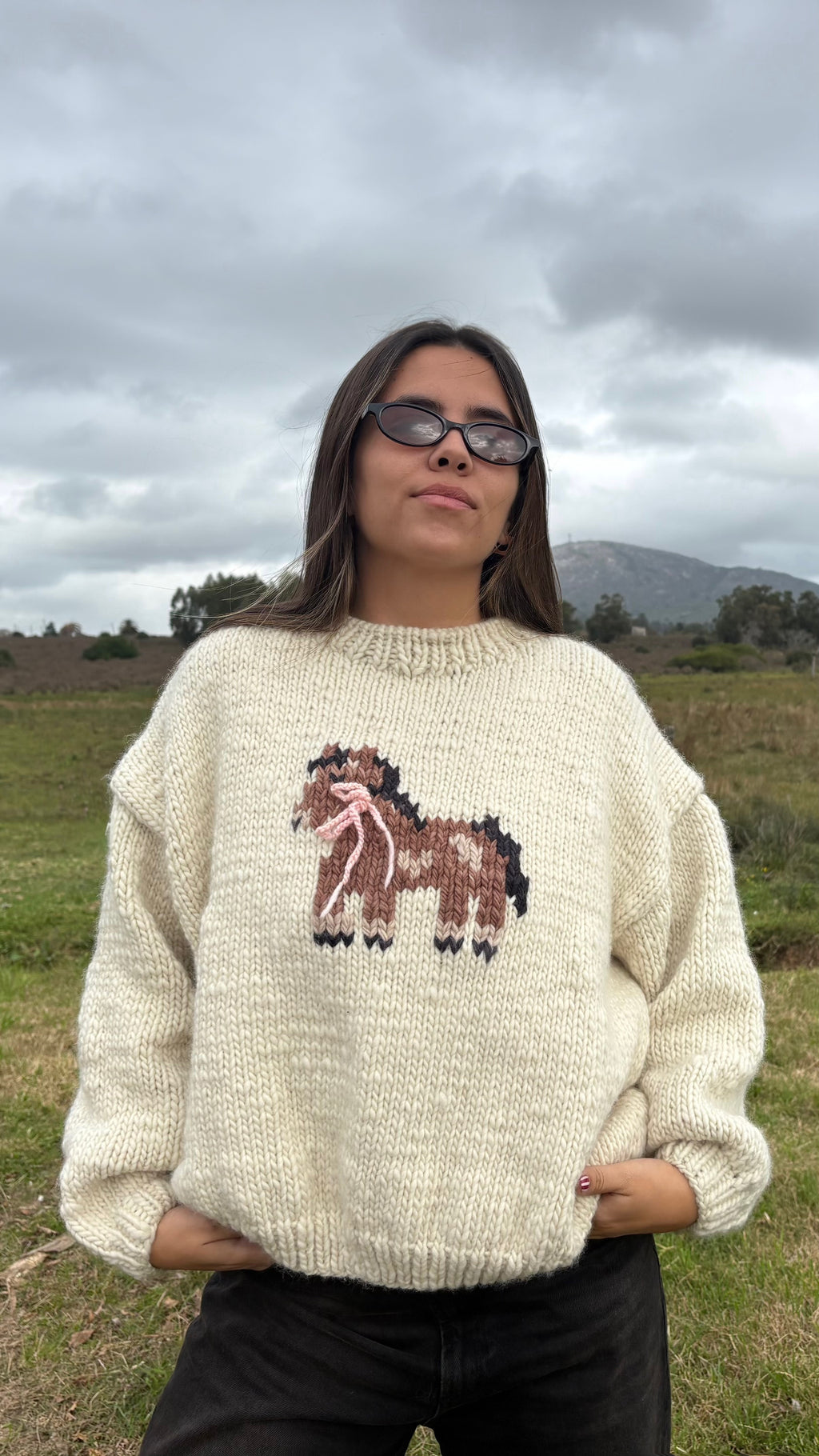 PREVENTA Sweater Poni XL