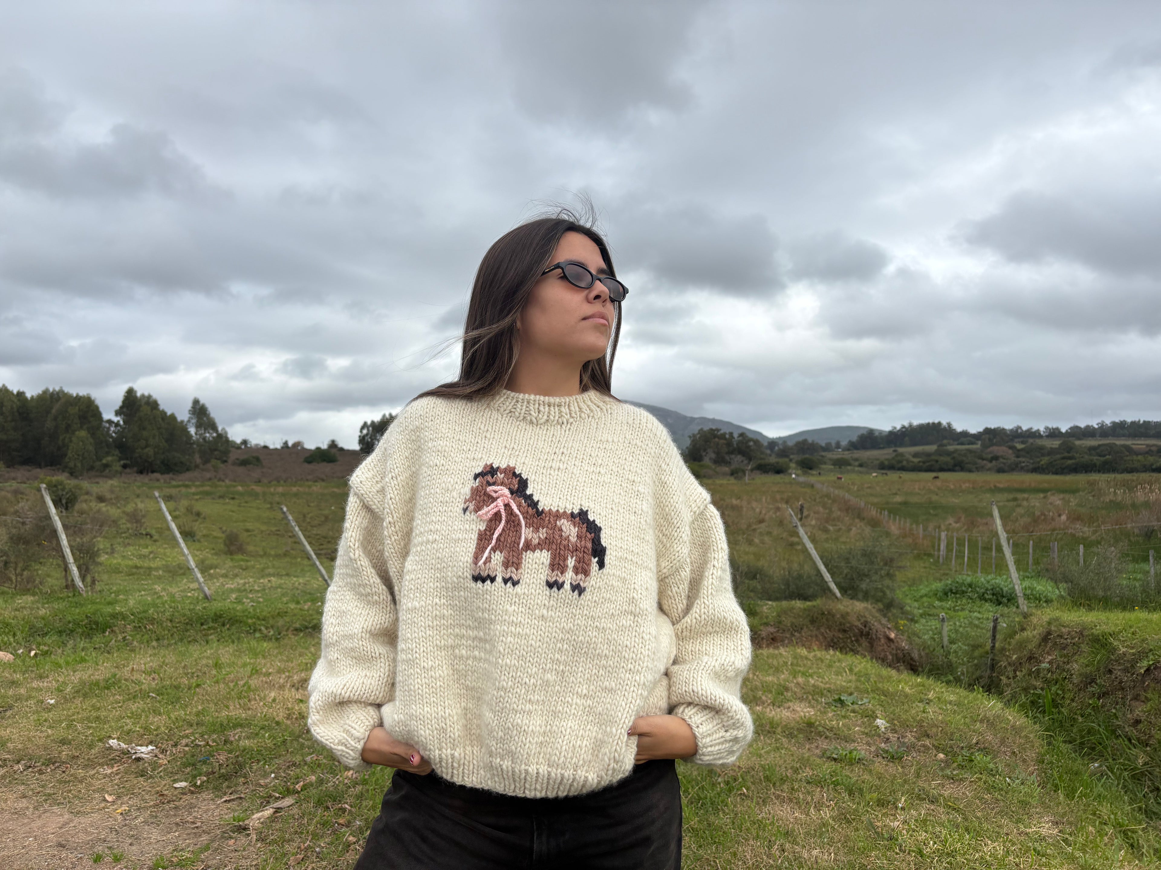 PREVENTA Sweater Poni XL